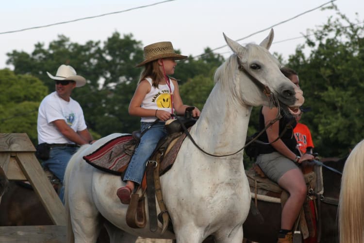 Little girl horseriding